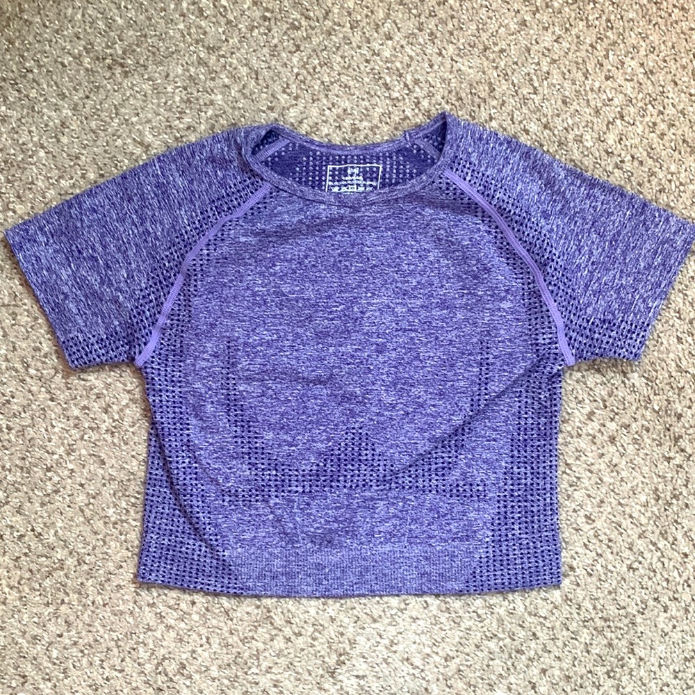 Purple Crop Workout Top